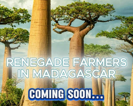 Day 0 - Why Madagascar?